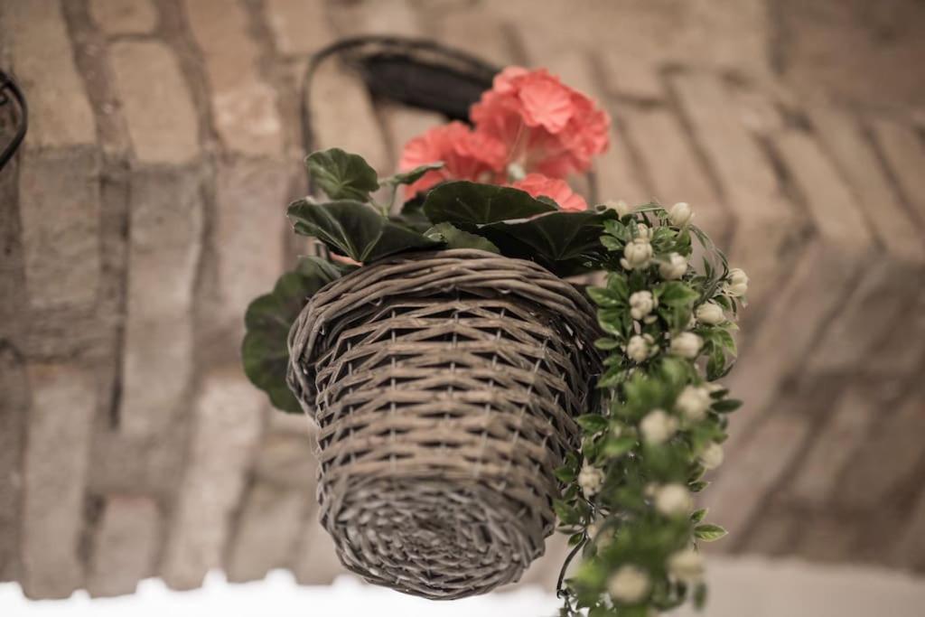 Shabby Apartment @Trastevere Rome Buitenkant foto